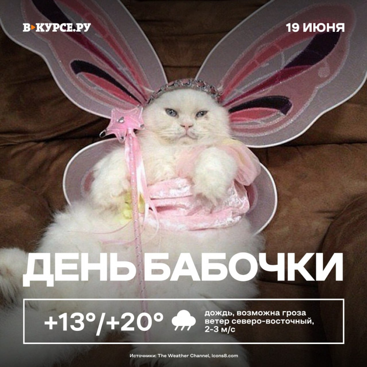 Авито березники бесплатные объявления