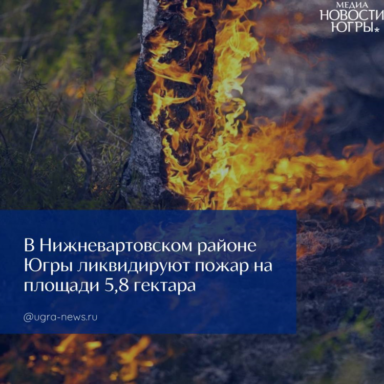 Авито нижневартовск хмао объявления
