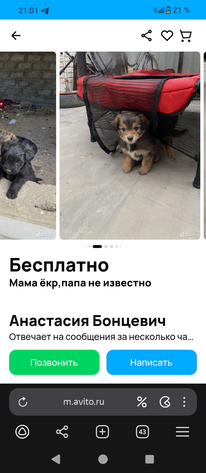 Авито реж свердловская область все объявления