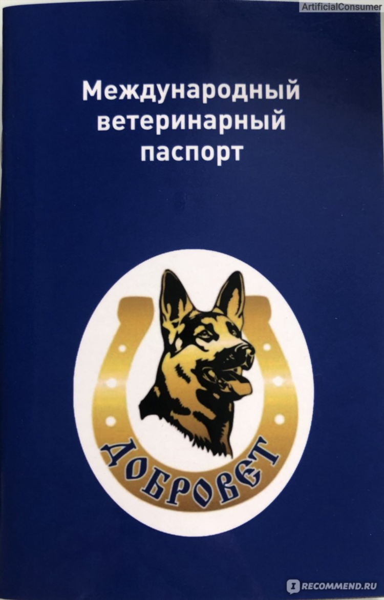 Авито владимирская область животные собаки бесплатные объявления