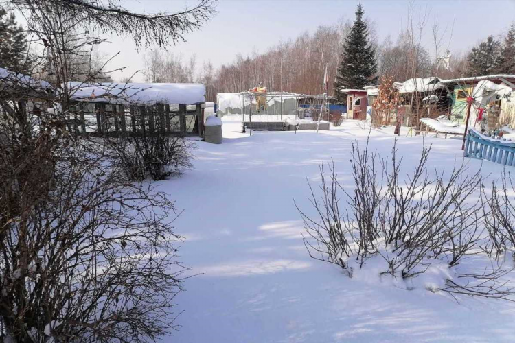 Бесплатные доски объявлений хабаровск