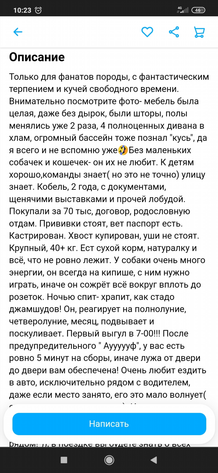 Дать объявление на авито о продаже дома бесплатно