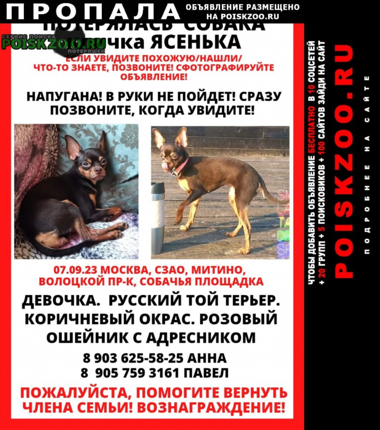 Доска бесплатных объявлений руз