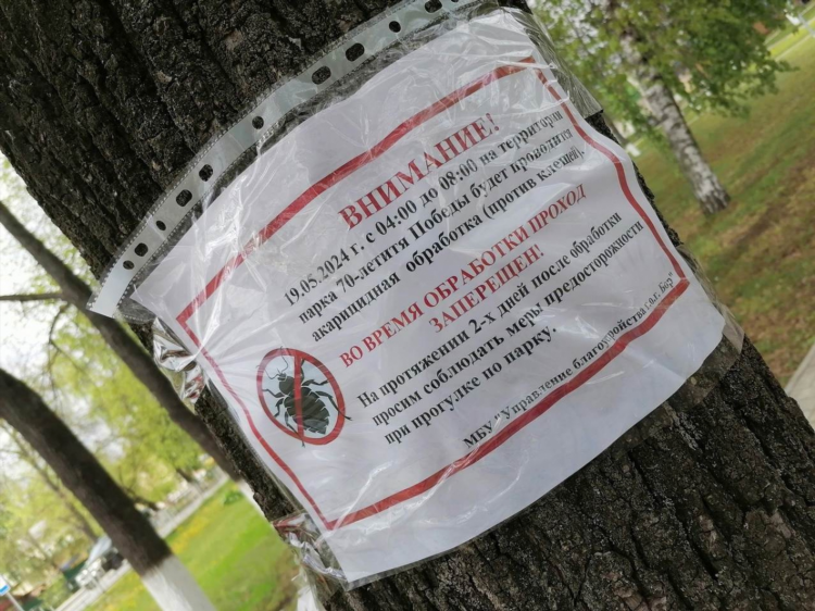Доска объявлений город бор