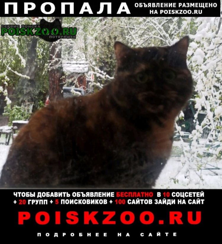 Доски объявлений пушкино