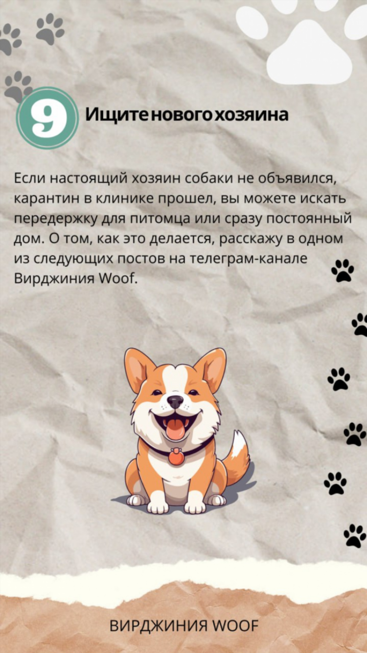 Как сделать объявление о пропаже собаки