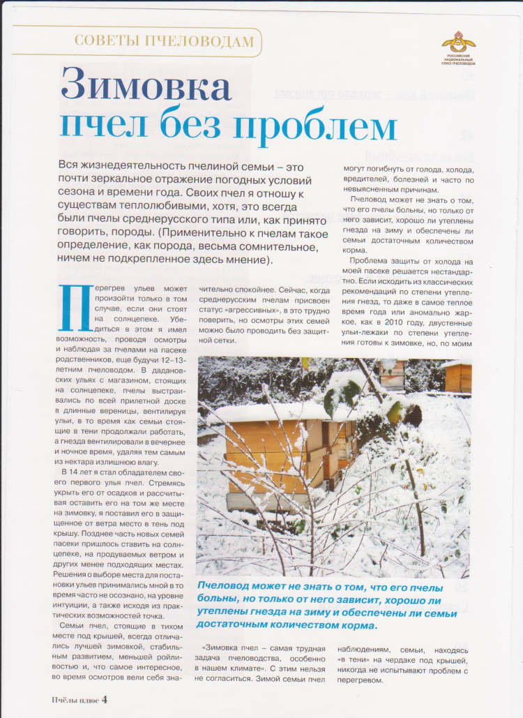 Купить пчелопакеты доска объявлений