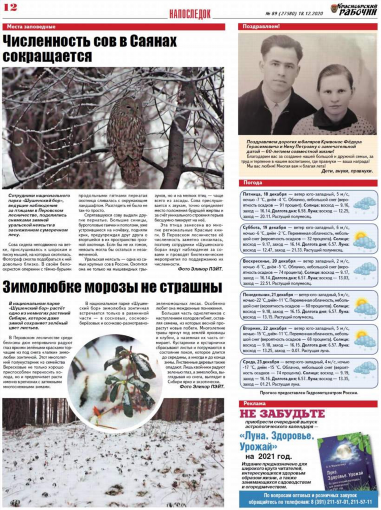 Курьер шушенский подать бесплатное объявление