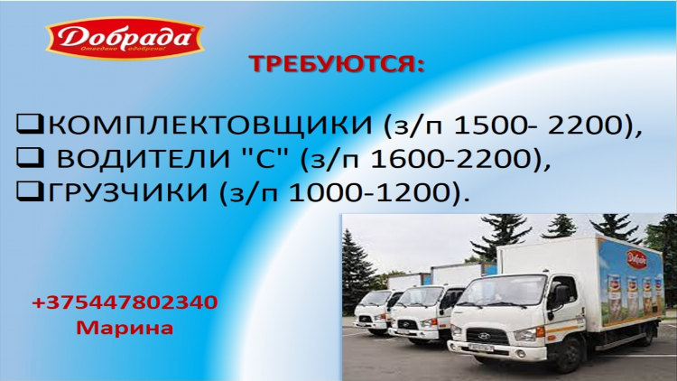 Объявление о вакансии водителя