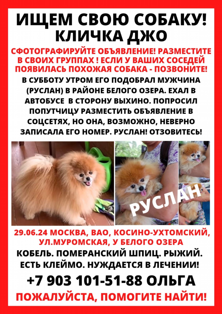 Объявление потерялся телефон