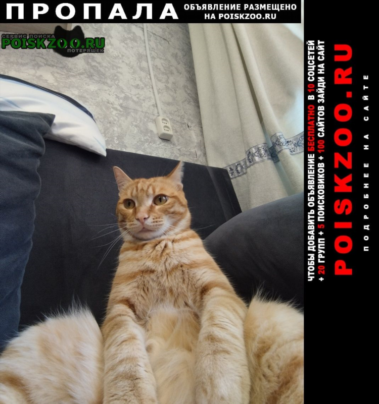 Объявления якт доска объявлений