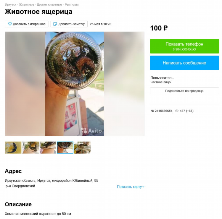 Объявления на авито в мордовии животные