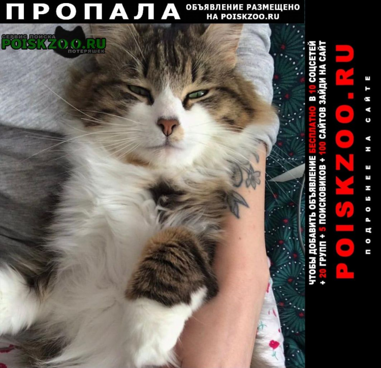 Объявления одинцово