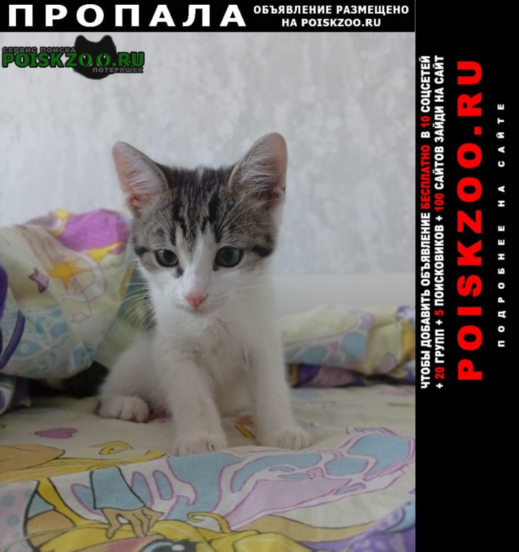 Объявления рузаевка