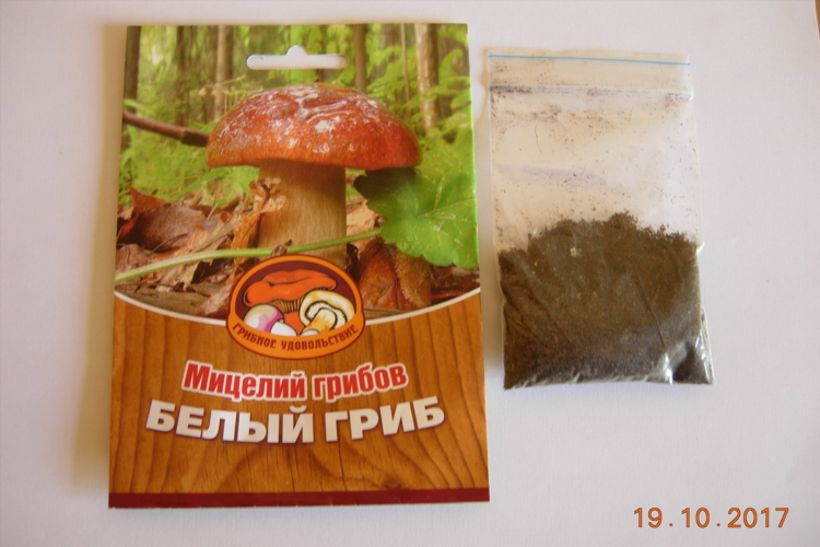 Продать грибы объявления