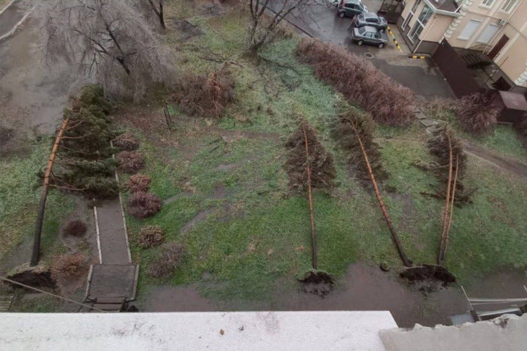Все обо всем лесозаводск приморский край объявления